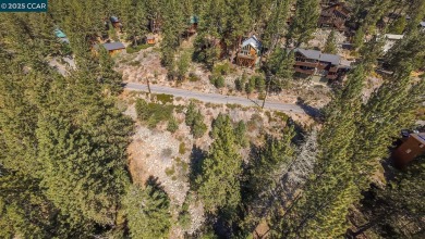 Donner Lake Lot For Sale in Truckee California