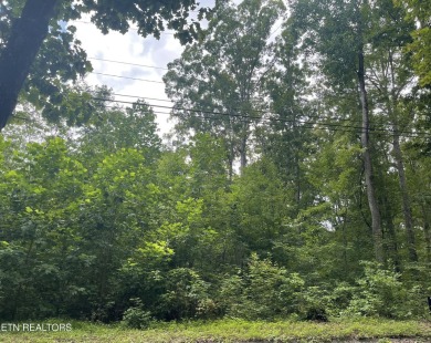 Lake Lot Sale Pending in Rutledge, Tennessee