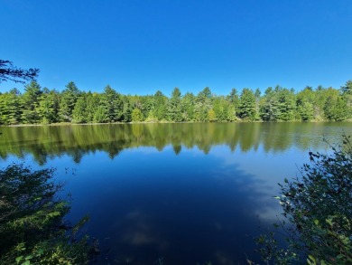 Dow Pond Acreage For Sale in Palermo Maine