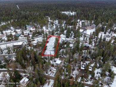 Lake Lot For Sale in Priest Lake, Idaho