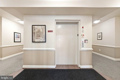 Stunning top-floor 2BR condo with elevator access and serene - photo 5