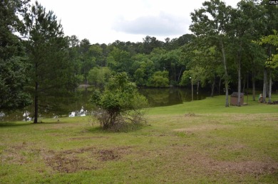 REDUCED!    Cleared lot-151 ft of waterfront. - photo 2