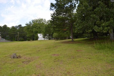 REDUCED!    Cleared lot-151 ft of waterfront. - photo 4