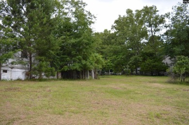 REDUCED!    Cleared lot-151 ft of waterfront. - photo 5