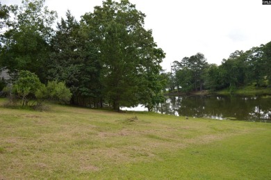 REDUCED!    Cleared lot-151 ft of waterfront. - photo 6