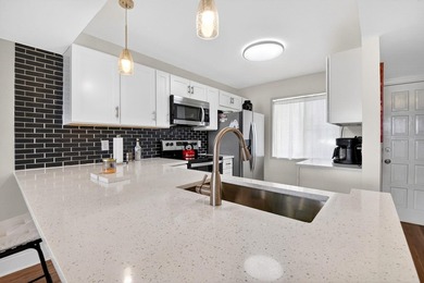 Spacious, beautifully updated and renovated 3-bed, 2-bath condo - photo 12