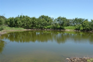 (private lake, pond, creek) Acreage For Sale in Brady Texas