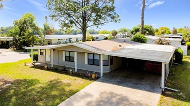 Lake Frances - Lake County Home For Sale in Tavares Florida