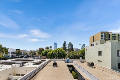Behind privacy gates in the coveted Artist Lofts, this move-in - photo 43