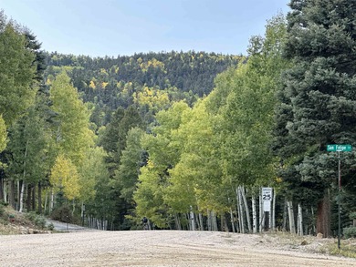 Monte Verde Lake Lot For Sale in Angel Fire New Mexico