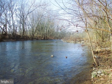 (private lake, pond, coastal) Lot For Sale in Mount Jackson Virginia