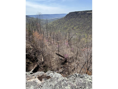 (private lake, pond, creek) Acreage For Sale in Jasper Tennessee