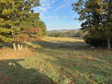 (private lake, pond, creek) Acreage For Sale in Drury Missouri