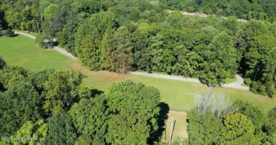 DOCK PREAPPROVED! Rare Rough River lakefront lot for sale in - photo 2