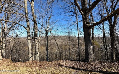 DOCK PREAPPROVED! Rare Rough River lakefront lot for sale in - photo 7