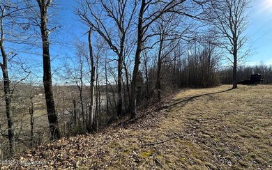 DOCK PREAPPROVED! Rare Rough River lakefront lot for sale in - photo 8