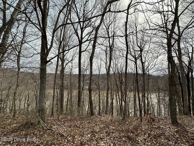 DOCK PREAPPROVED! Rare Rough River lakefront lot for sale in - photo 9