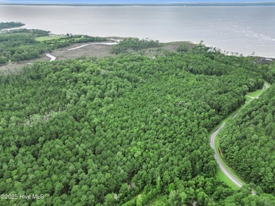 Build your dream coastal getaway on this beautiful vacant lot in - photo 11