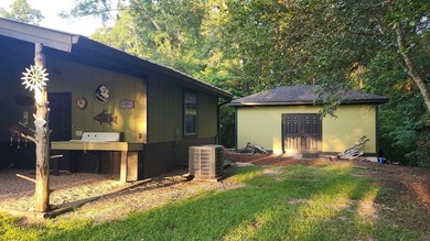 Welcome to your private waterfront retreat on beautiful Lake - photo 36