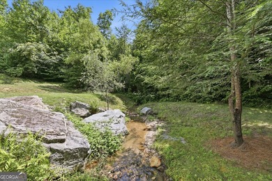 Bordering protected U.S. Forest Land in the heart of the Blue - photo 9