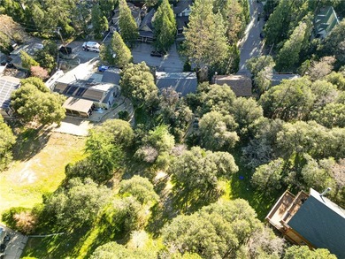Tucked just two blocks from the heart of Crestline Village and - photo 43