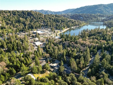 Tucked just two blocks from the heart of Crestline Village and - photo 46