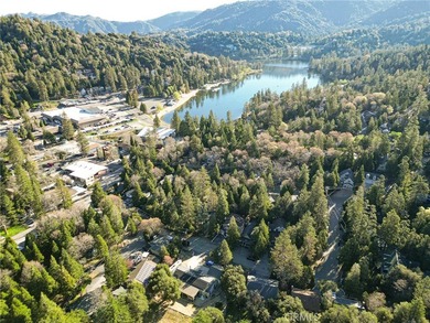 Tucked just two blocks from the heart of Crestline Village and - photo 47