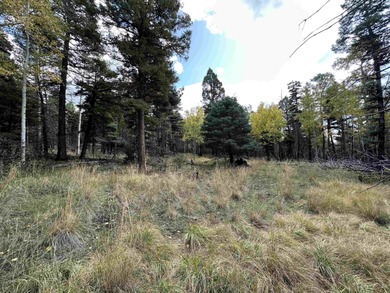Monte Verde Lake Lot For Sale in Angel Fire New Mexico