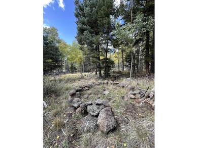Additional listing photo 2