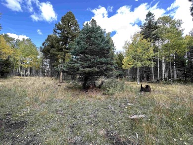 Additional listing photo 3