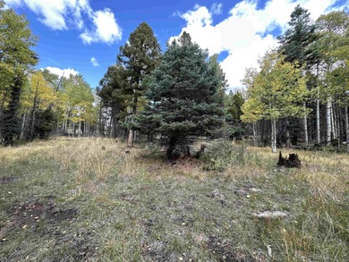 Additional listing photo 4