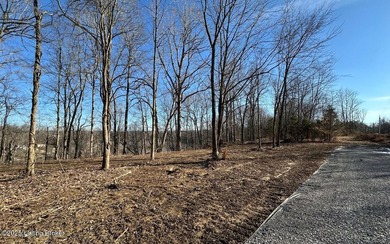DOCK PRE-APPROVED! Discover Rough River lakefront property for - photo 8