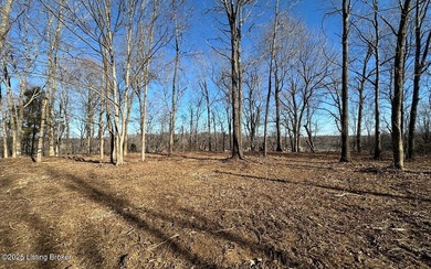 DOCK PRE-APPROVED! Discover Rough River lakefront property for - photo 10