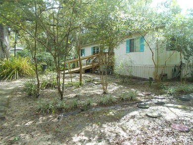 Discover the beauty of Salt Springs! Nestled in the heart of the - photo 3