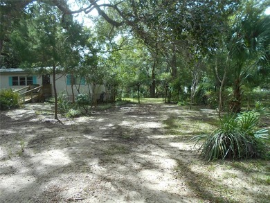 Discover the beauty of Salt Springs! Nestled in the heart of the - photo 4