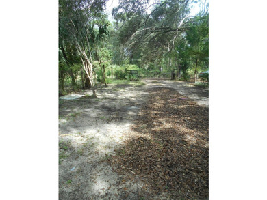 Discover the beauty of Salt Springs! Nestled in the heart of the - photo 5