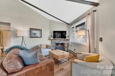 Welcome to 109 Beechwood Lane in Beech Mountain, NC - your ideal - photo 25