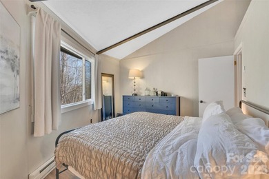 Welcome to 109 Beechwood Lane in Beech Mountain, NC - your ideal - photo 36