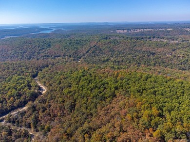 Lake Acreage For Sale in Oakland, Arkansas