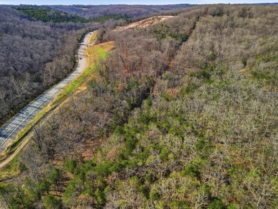 Stunning 3+ Acres Joining the Corps of Engineers at the North - photo 2