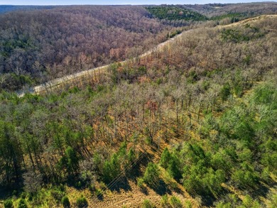 Stunning 3+ Acres Joining the Corps of Engineers at the North - photo 5