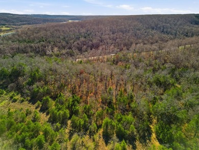 Stunning 3+ Acres Joining the Corps of Engineers at the North - photo 6