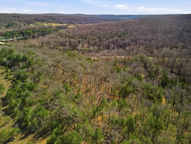 Stunning 3+ Acres Joining the Corps of Engineers at the North - photo 7