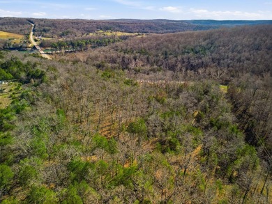 Stunning 3+ Acres Joining the Corps of Engineers at the North - photo 8