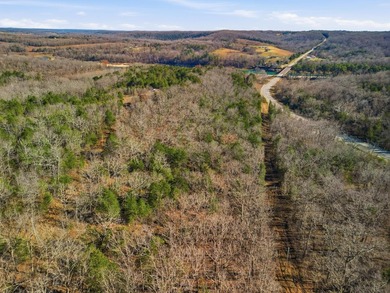 Stunning 3+ Acres Joining the Corps of Engineers at the North - photo 9