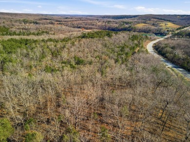 Stunning 3+ Acres Joining the Corps of Engineers at the North - photo 10