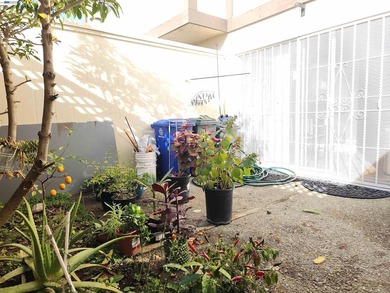 Back on Market, ready to sell. Move in condition Time to settle - photo 12