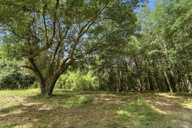 This private, wooded 0.80-acre homesite offers an outstanding - photo 13