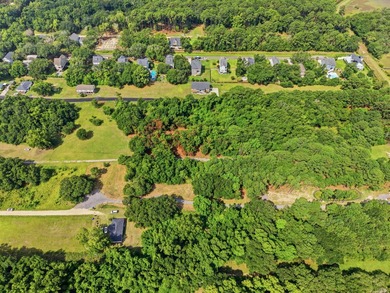 This private, wooded 0.80-acre homesite offers an outstanding - photo 15