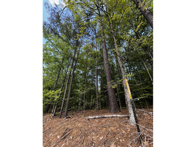 (private lake, pond, coastal) Acreage For Sale in Coldwater Mississippi